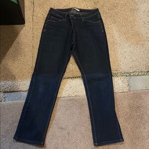 Women's Lee Perfect Fit Jeans